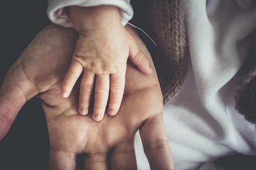 Divorce and Appellate Divorce and Appellate